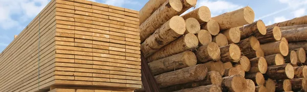 /assets/bauen-mit-holz-CNoVSz_O.webp